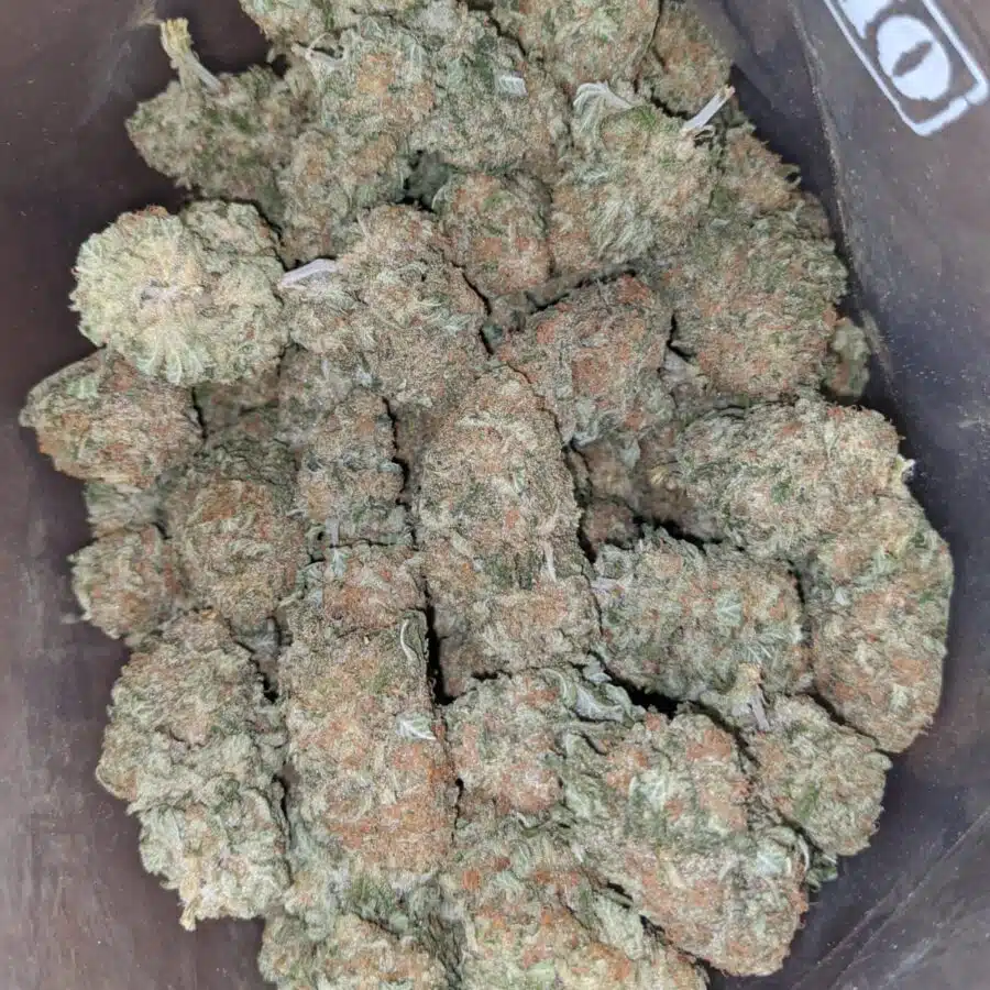 sherbert 3 I Sherbert #2