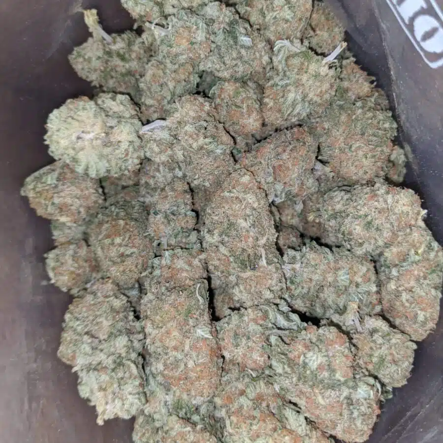 sherbert 4 I Sherbert #2