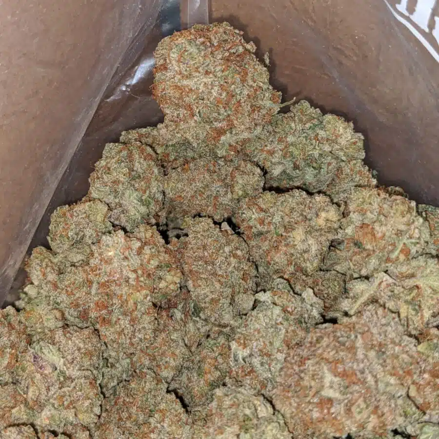 sweet grapefruit 1 I Sweet Grapefruit
