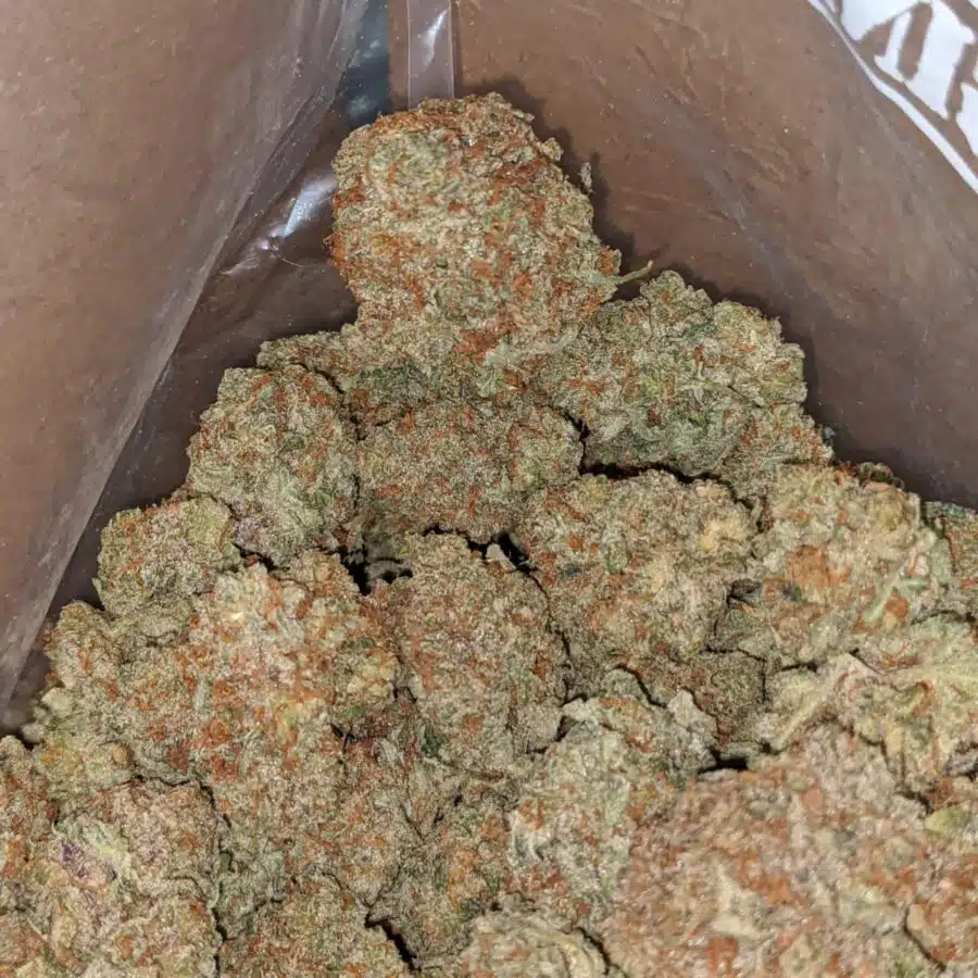sweet grapefruit 2 I Sweet Grapefruit