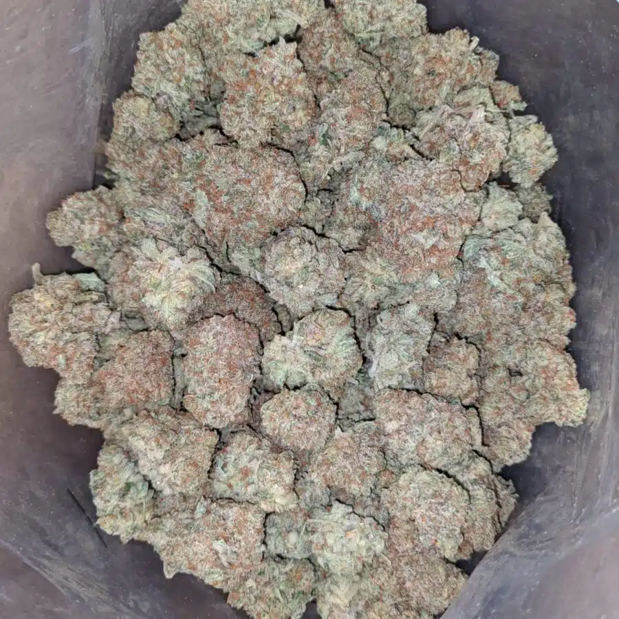 sweet grapefruit 3 I Sweet Grapefruit