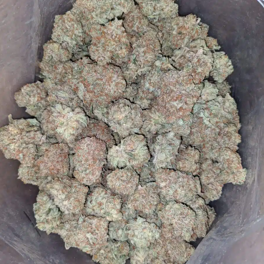sweet grapefruit 4 I Sweet Grapefruit