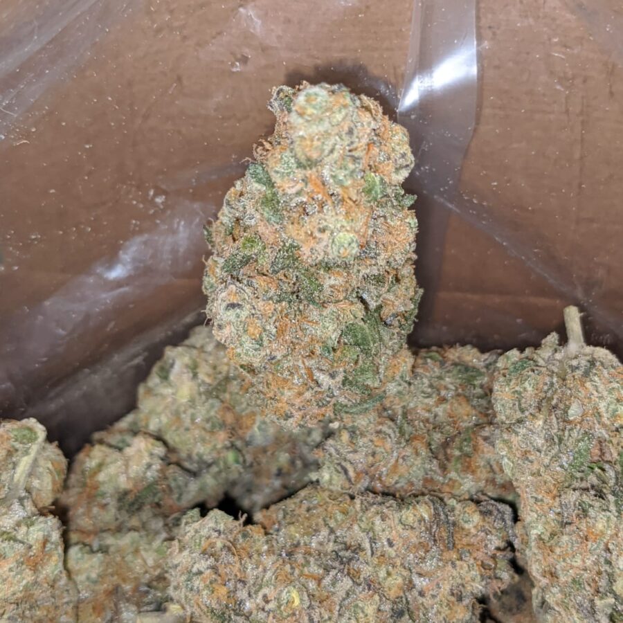 Unicorn Poop - Image 5