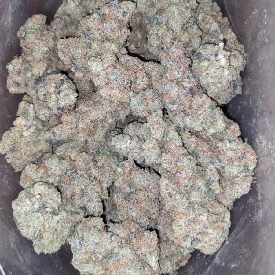unicorn poop 4 I Unicorn Poop