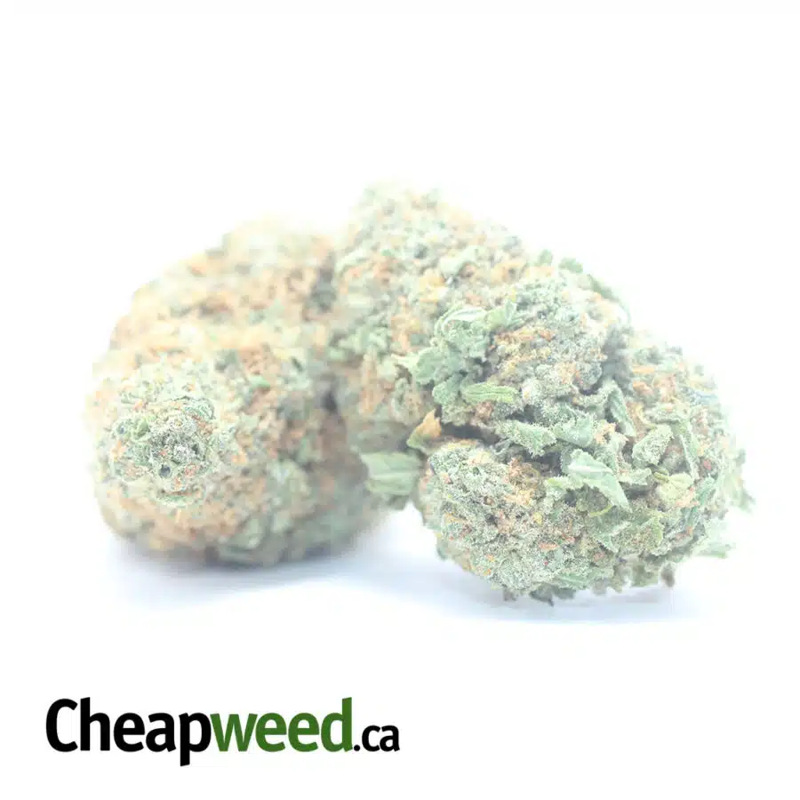 ANIMAL CRACKERS 3 I $ 58 Oz - Animal Crackers