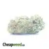 Cheese And Chong