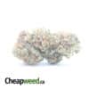 Chem Glue