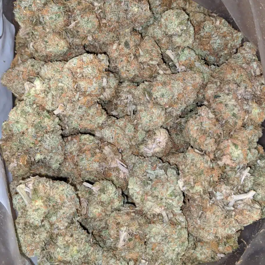 Alternative view of Cookie Dough