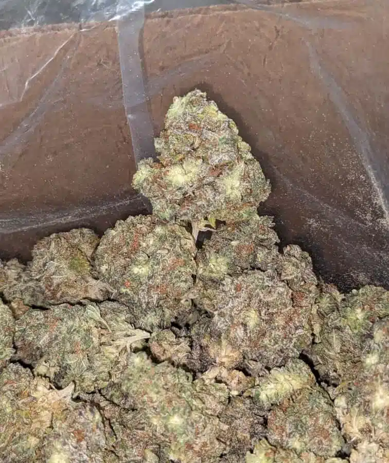 Chemo 3 I Chemo