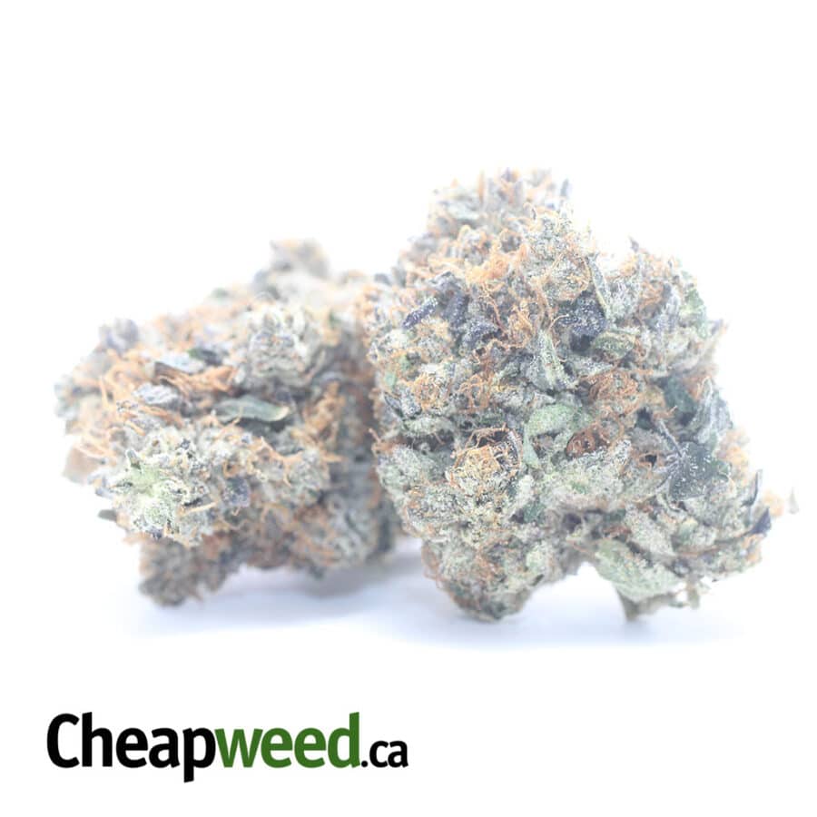GODFATHER OG 2 I Godfather OG