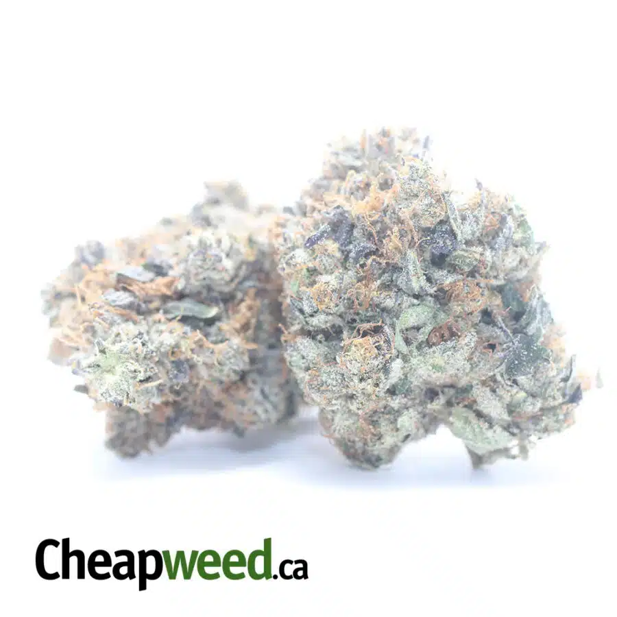 GODFATHER OG 2 I Godfather OG