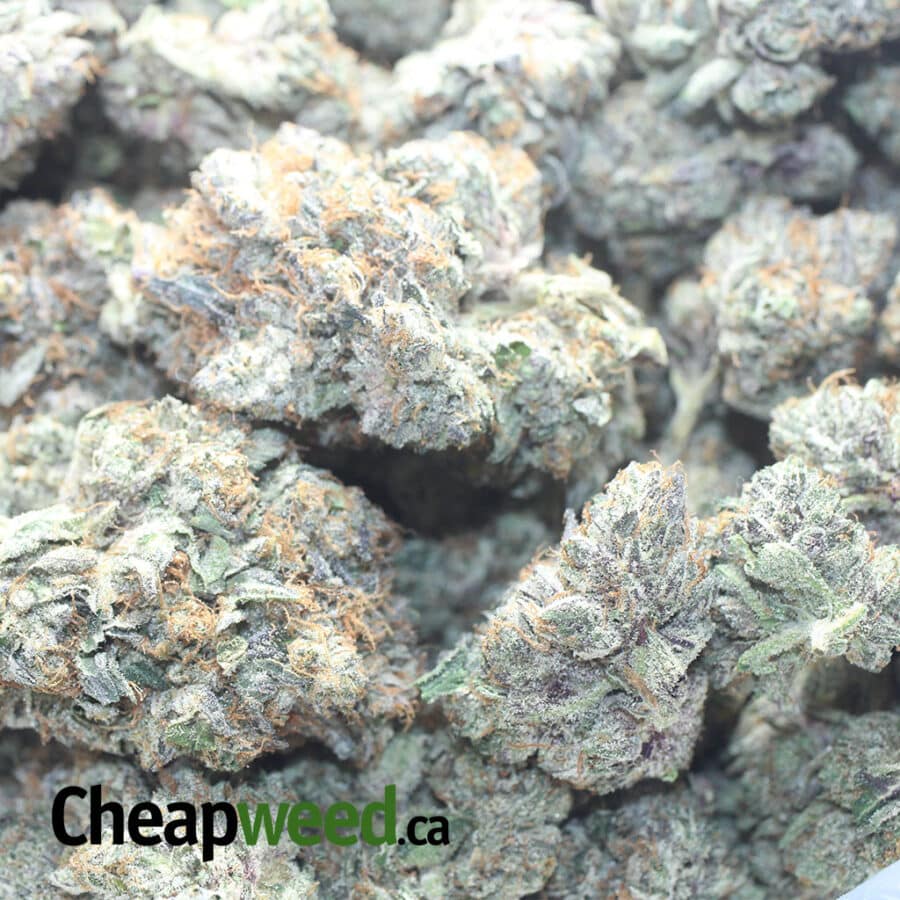 GODFATHER OG 3 I Godfather OG