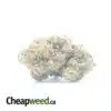 Greasy Bubba Bulk Special