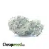 Greenfarm's Bruce Banner