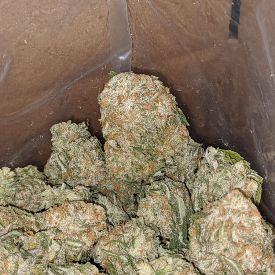 Galactic cookies 1 I Galactic Cookies