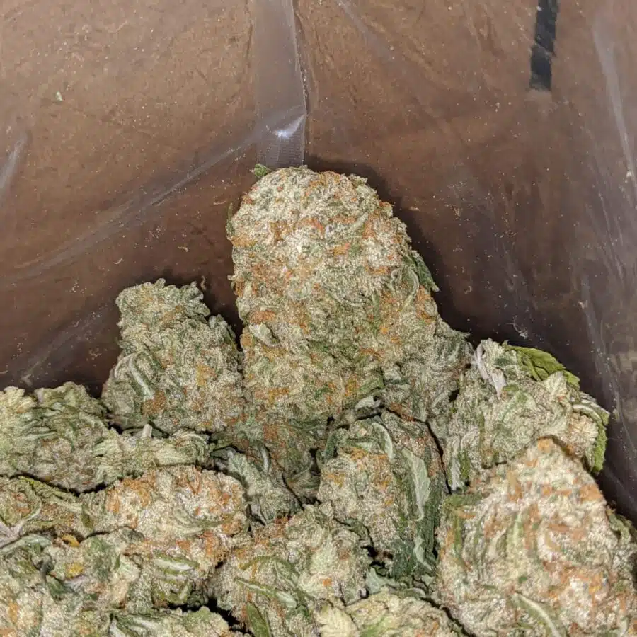 Galactic cookies 1 I Galactic Cookies