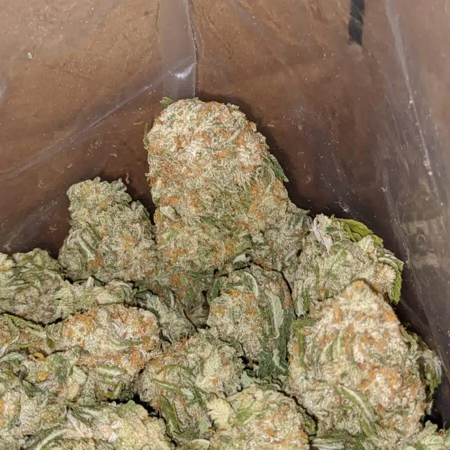 Galactic cookies 2 I Galactic Cookies