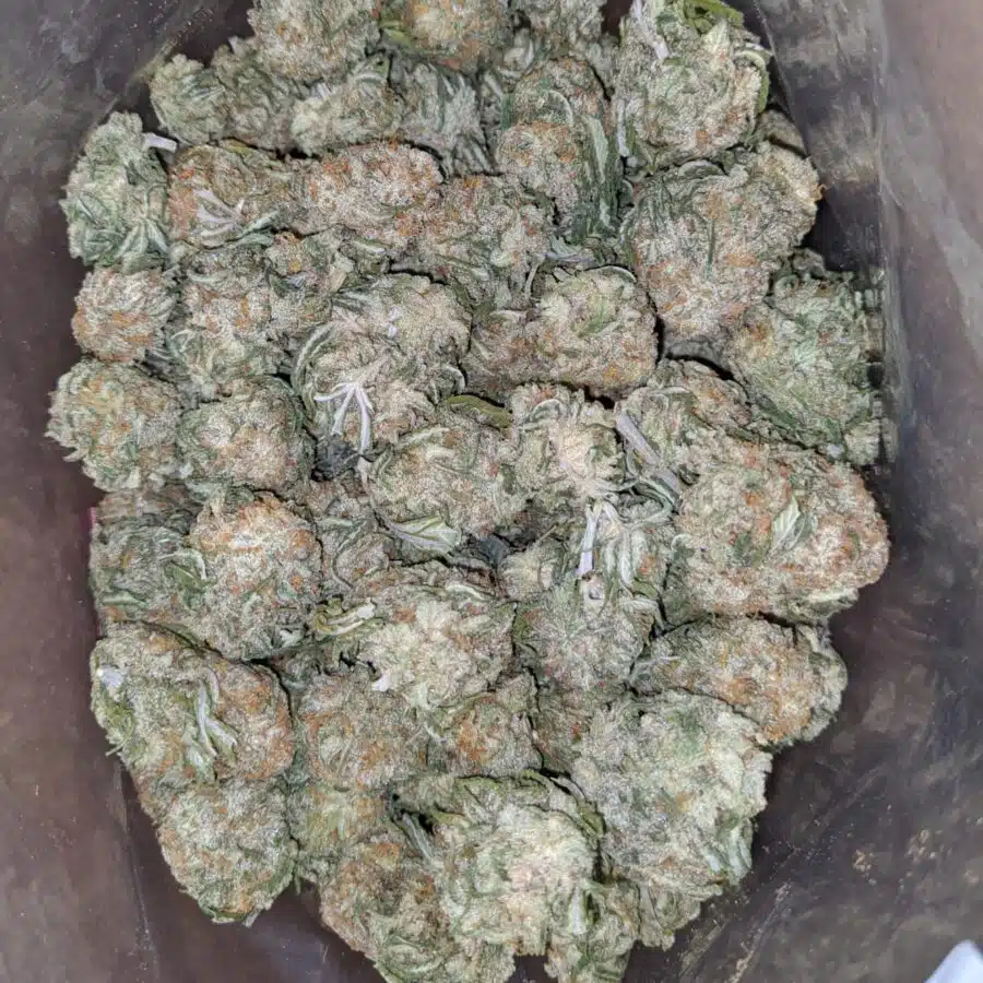 Galactic cookies 3 I Galactic Cookies
