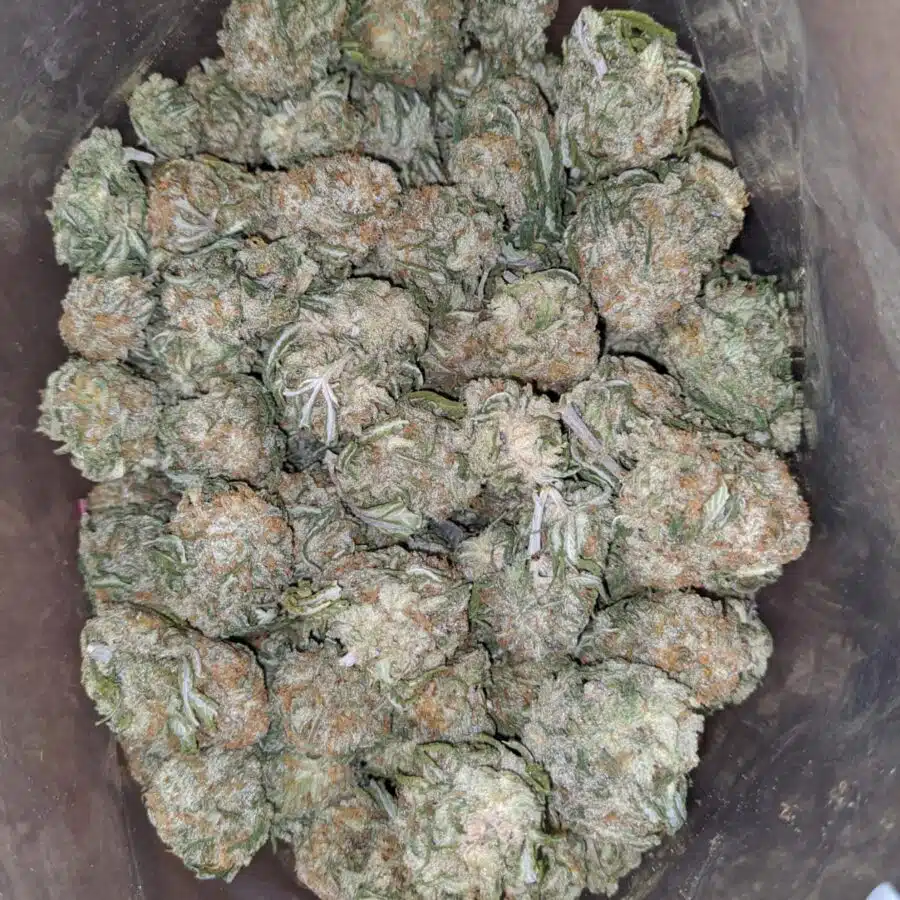 Galactic cookies 4 I Galactic Cookies