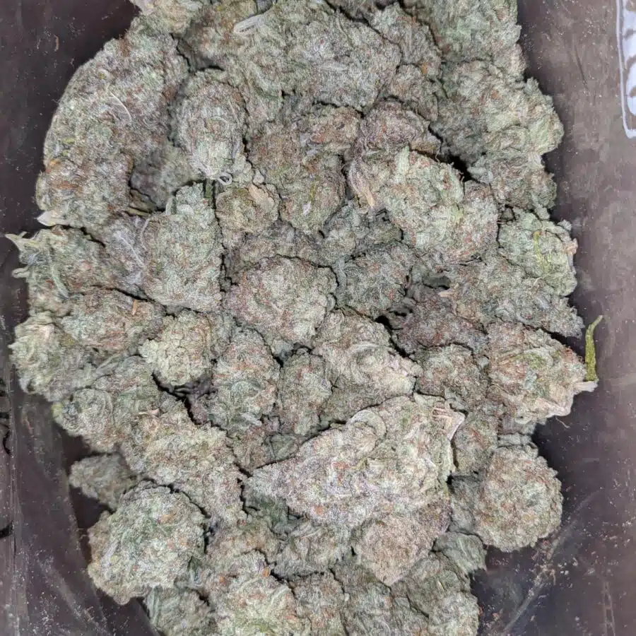 Hawaiian Punch 2 I $ 50 Oz - Hawaiian Punch