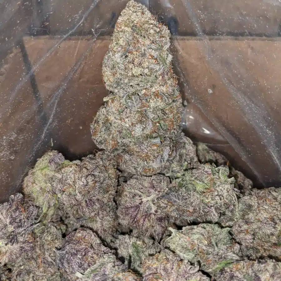 LOVE POTION 1 I Love Potion
