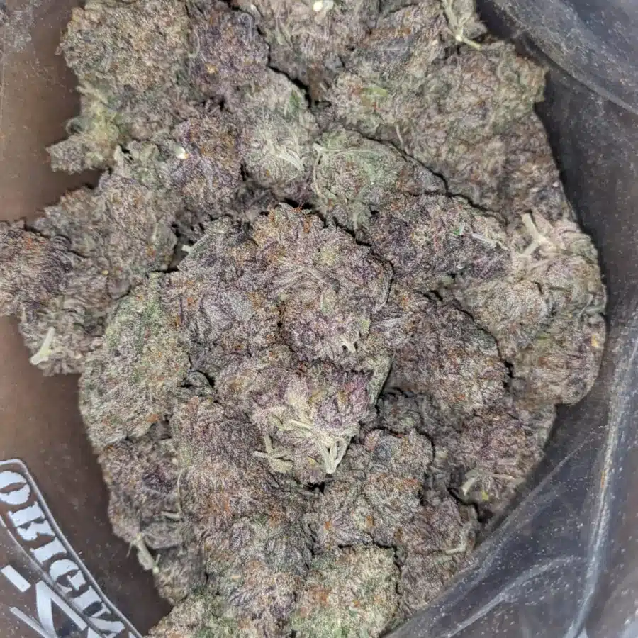 Alternative view of Love Potion