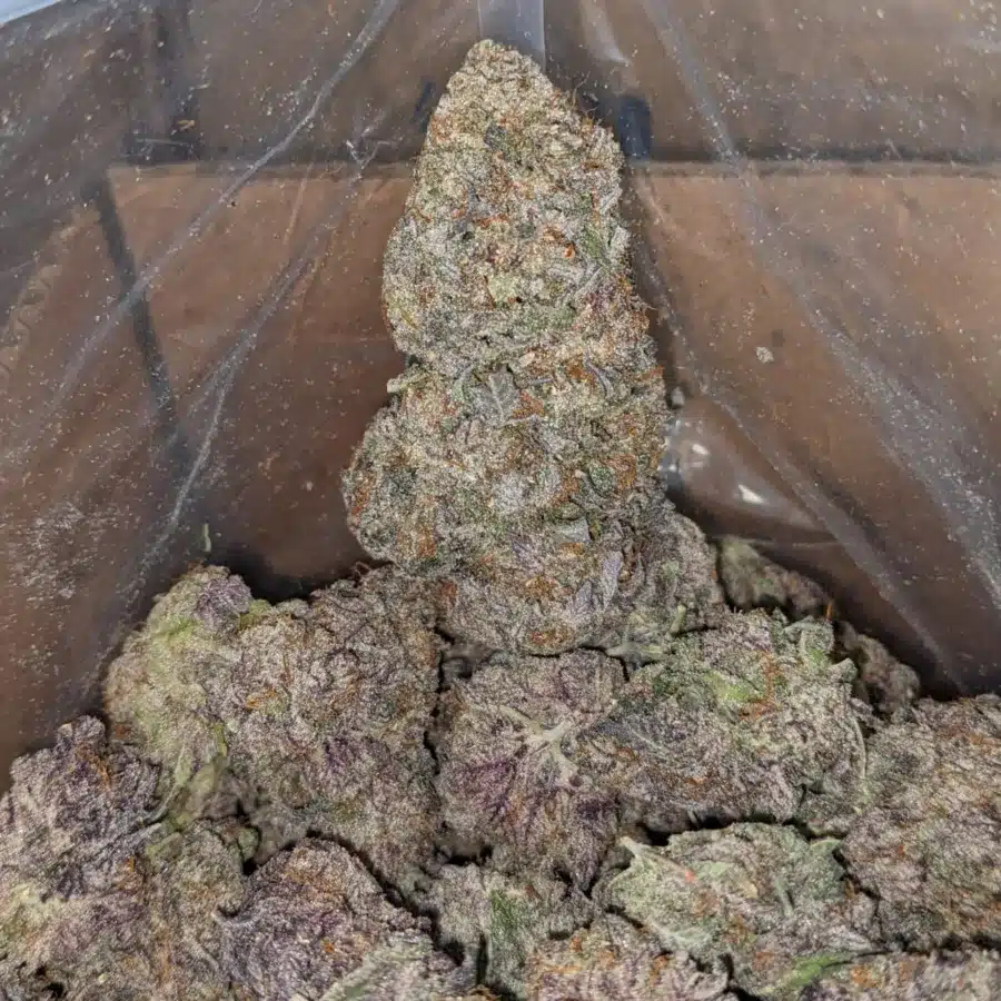 LOVE POTION 4 I Love Potion
