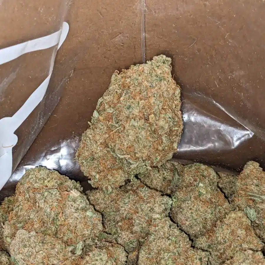 Maui Wowie 1 I Maui Wowie