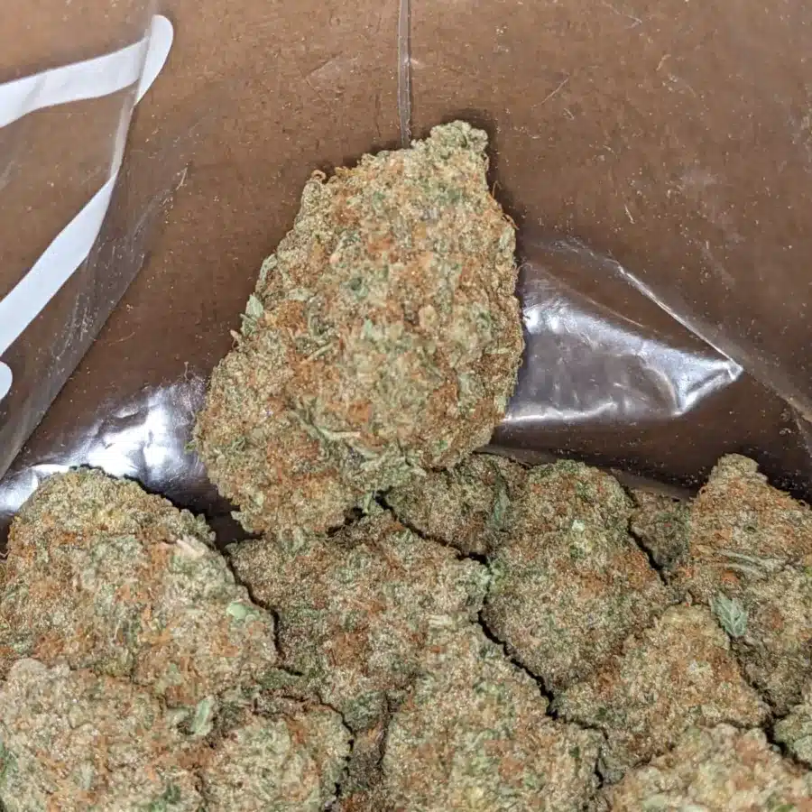 Maui Wowie 2 I Maui Wowie