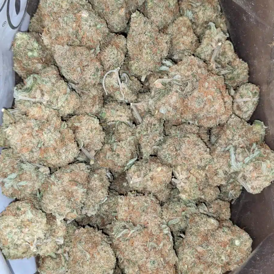 Maui Wowie 4 I Maui Wowie