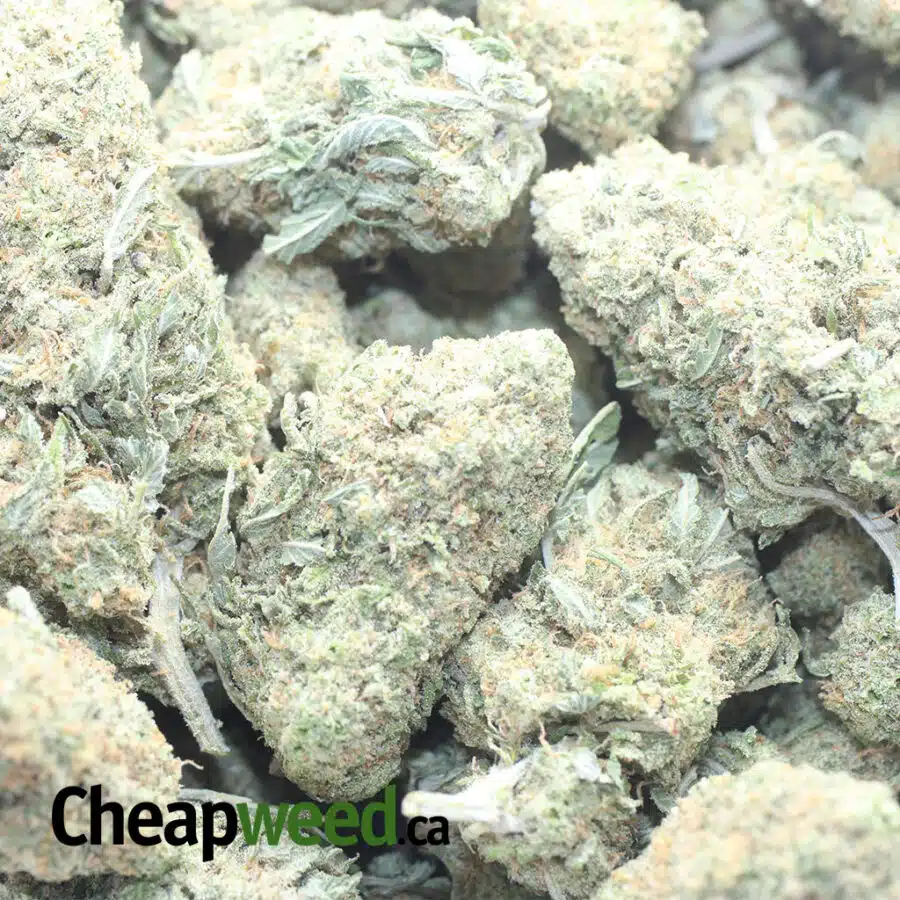 PEACHES AND CREAM 1 I $ 57 Oz - Peaches & Cream
