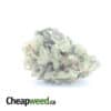 $ 53 Oz - Racefuel