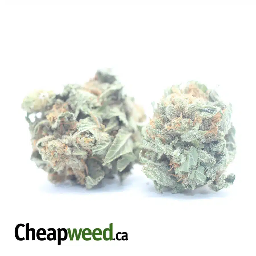 Alternative view of $ 53 Oz - Racefuel