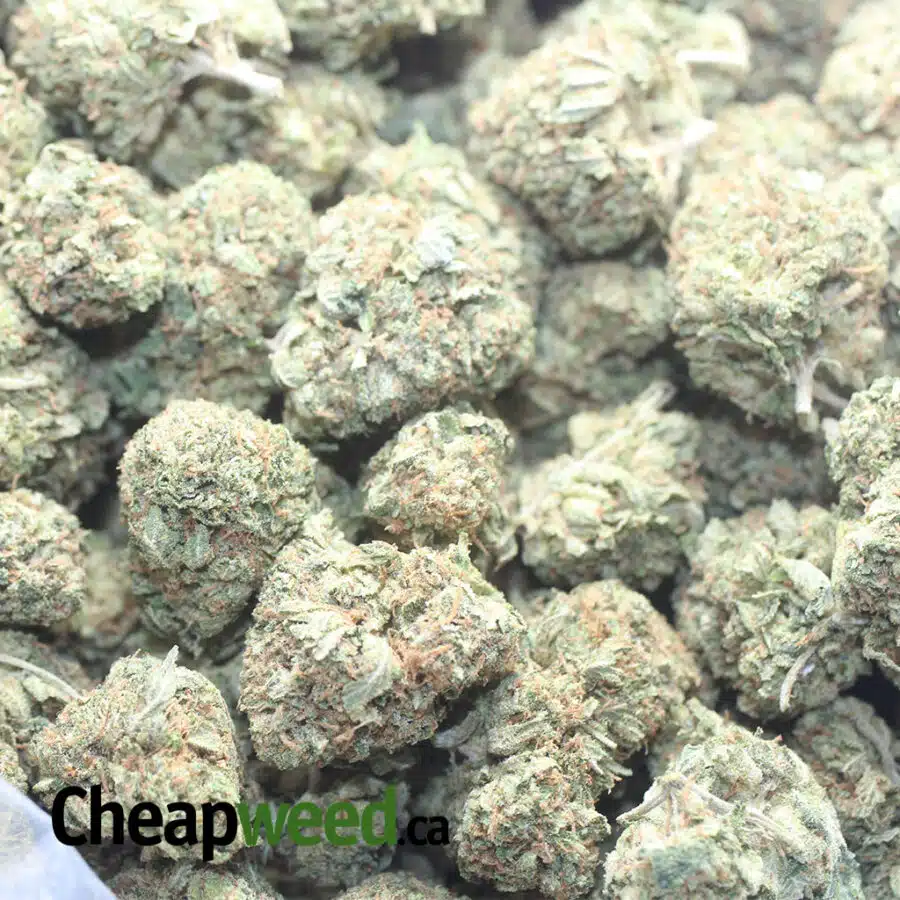 TRAINWRECK 1 I $ 86 Oz - Trainwreck