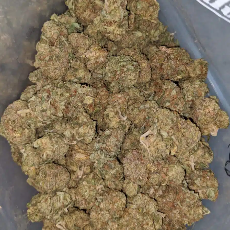 WhatsApp Image 2024 07 09 at 10.11.53 AM 1 I $ 45 Oz - Bubba Kush