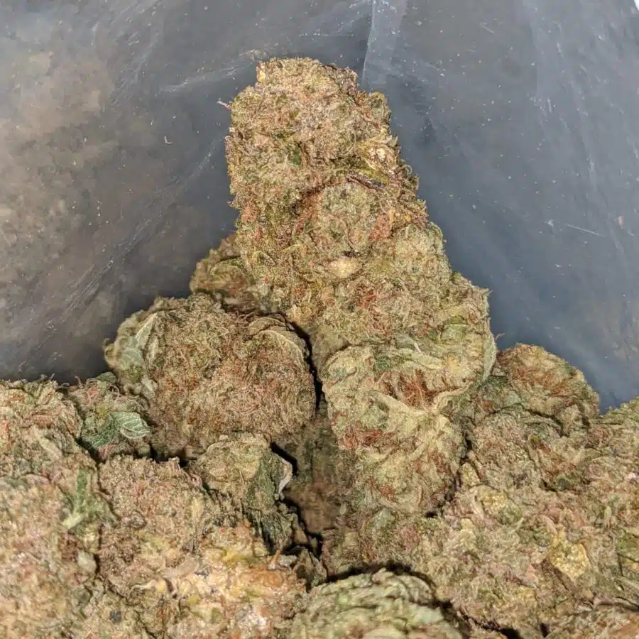 WhatsApp Image 2024 07 09 at 10.11.54 AM 1 I $ 45 Oz - Bubba Kush