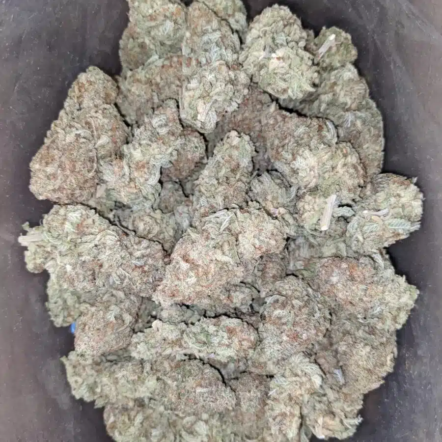 Yogurt 1 I $ 44 Oz - Yogurt