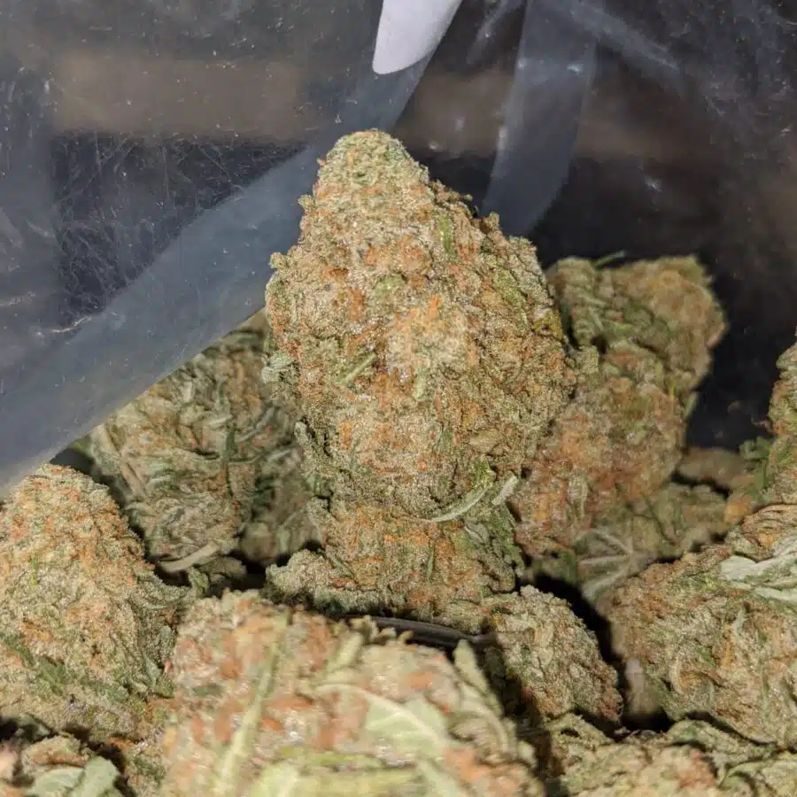 animal crackers 1 I $ 55 Oz - Animal Crackers