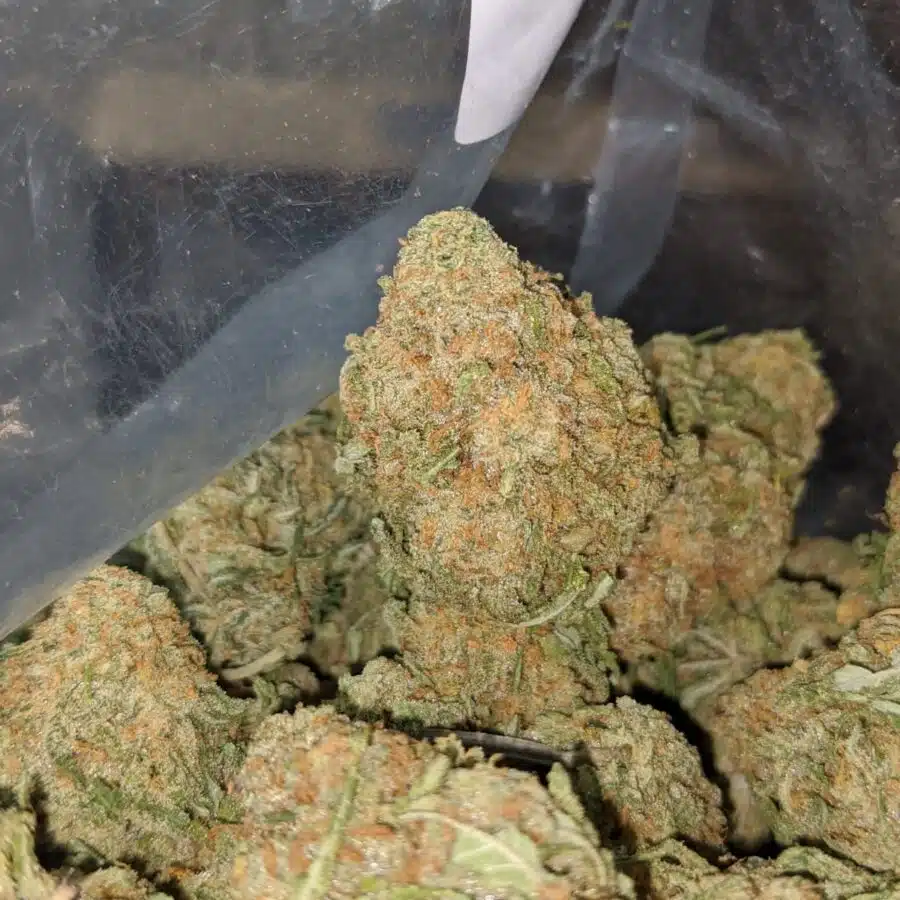 animal crackers 2 I $ 55 Oz - Animal Crackers