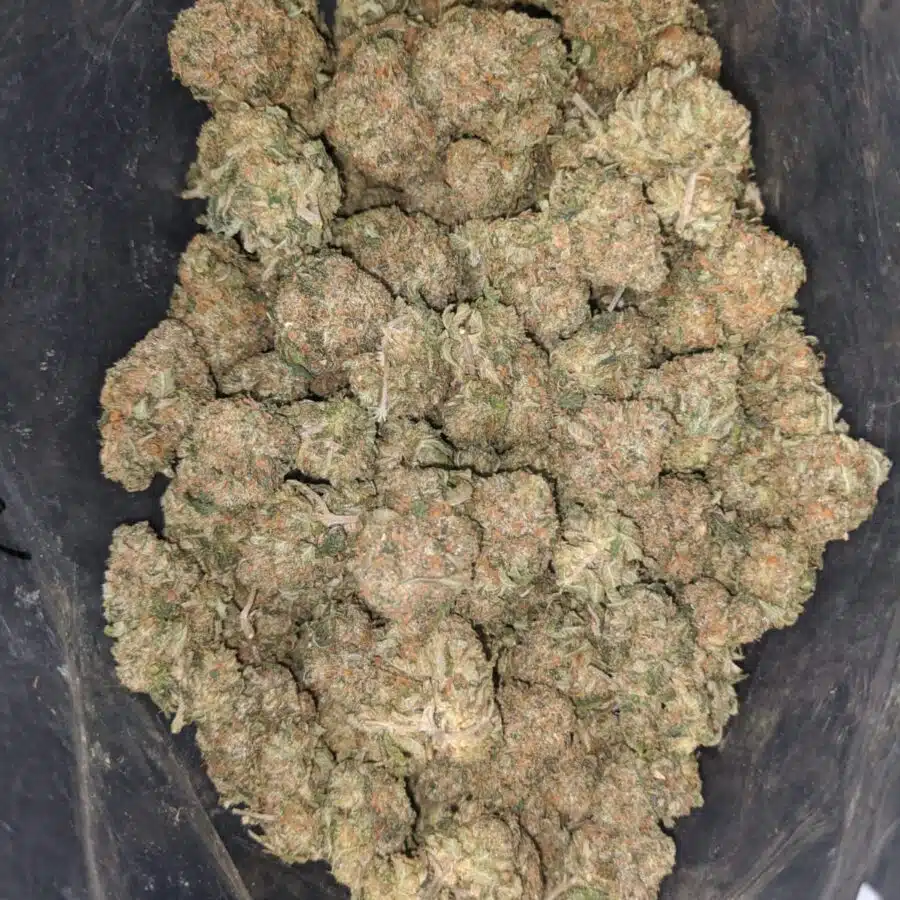 bubba kush 1 1 I $ 50 Oz - Bubba Kush