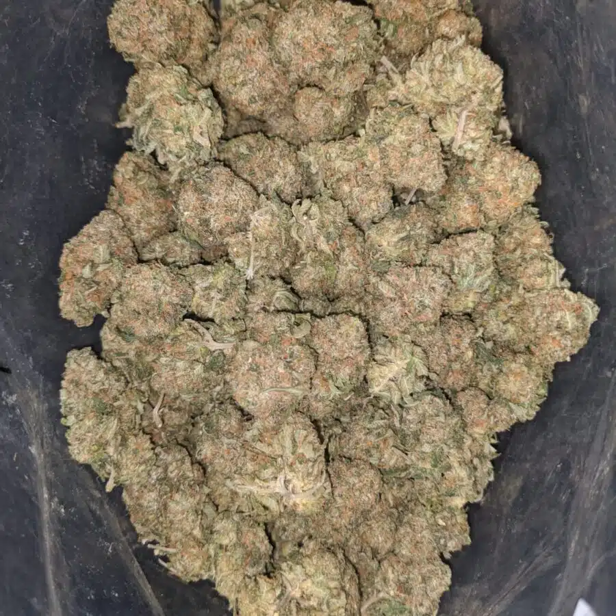 bubba kush 2 1 I $ 50 Oz - Bubba Kush