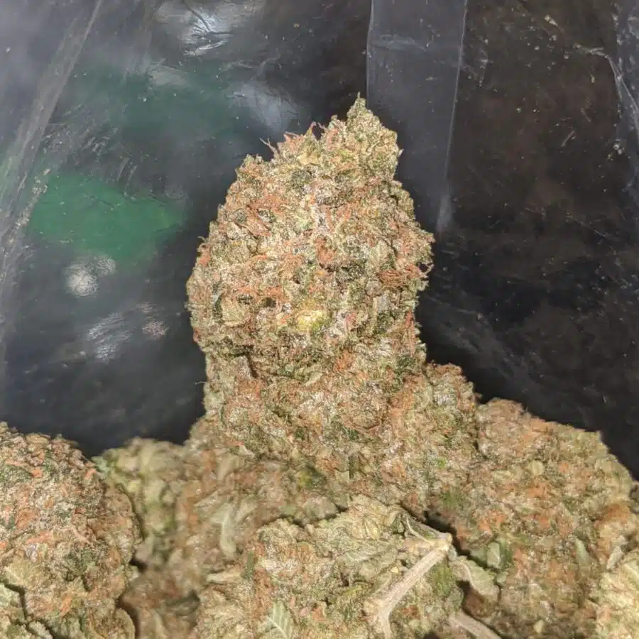 bubba kush 3 1 I $ 50 Oz - Bubba Kush