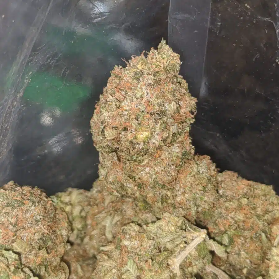 bubba kush 4 1 I $ 50 Oz - Bubba Kush