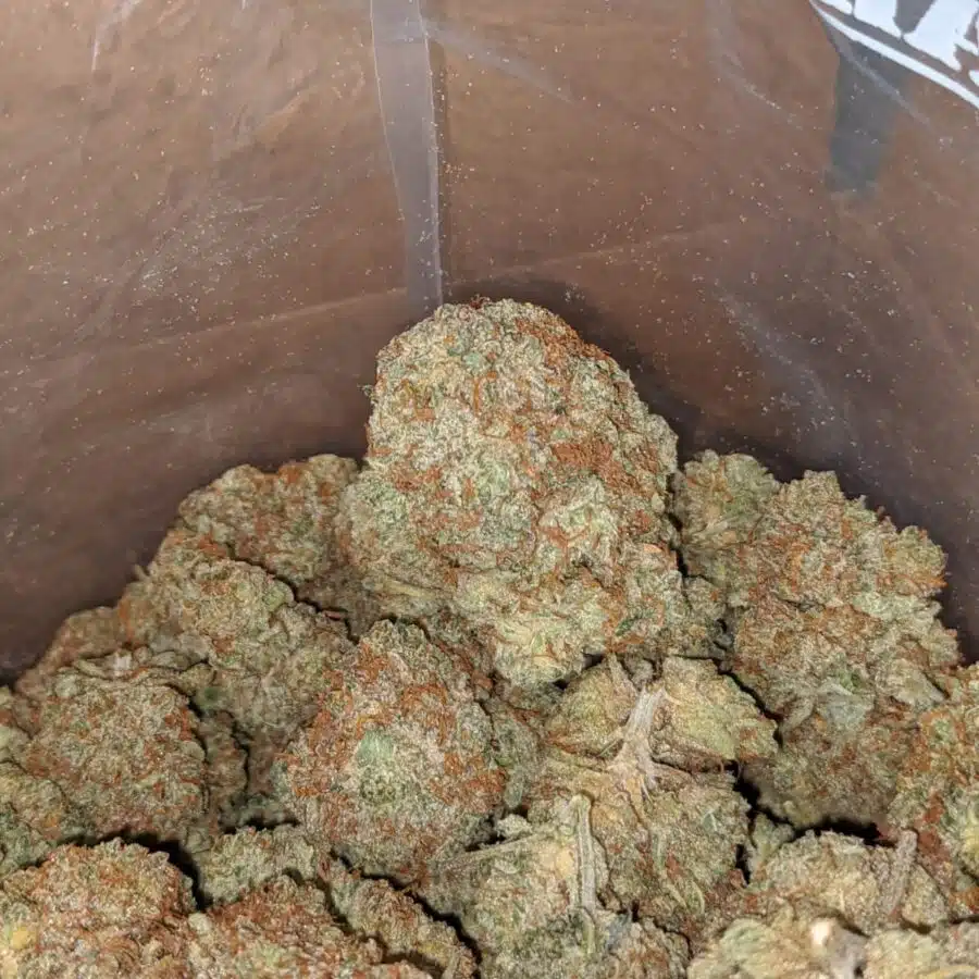 citrus glue 1 1 I Citrus Glue