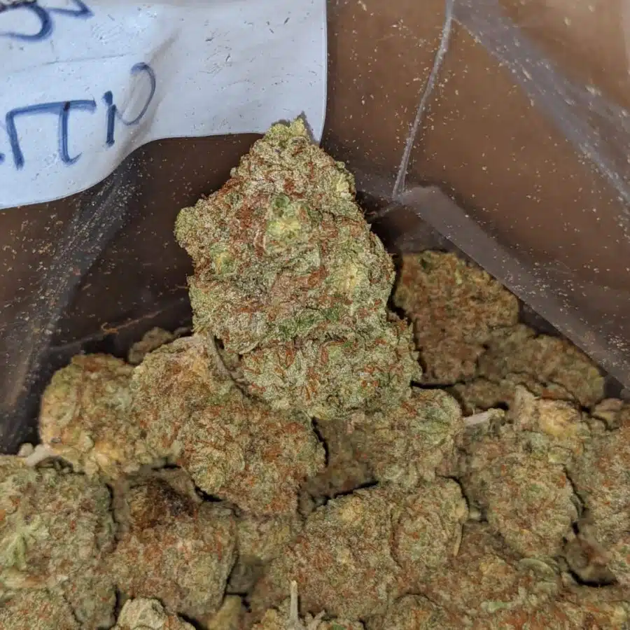 citrus glue 1 I $ 50 Oz - Citrus Glue