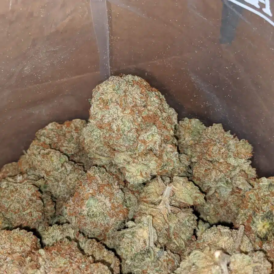 citrus glue 2 1 I Citrus Glue