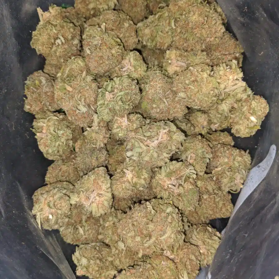 duke nukem 1 I $ 55 Oz - Duke Nukem