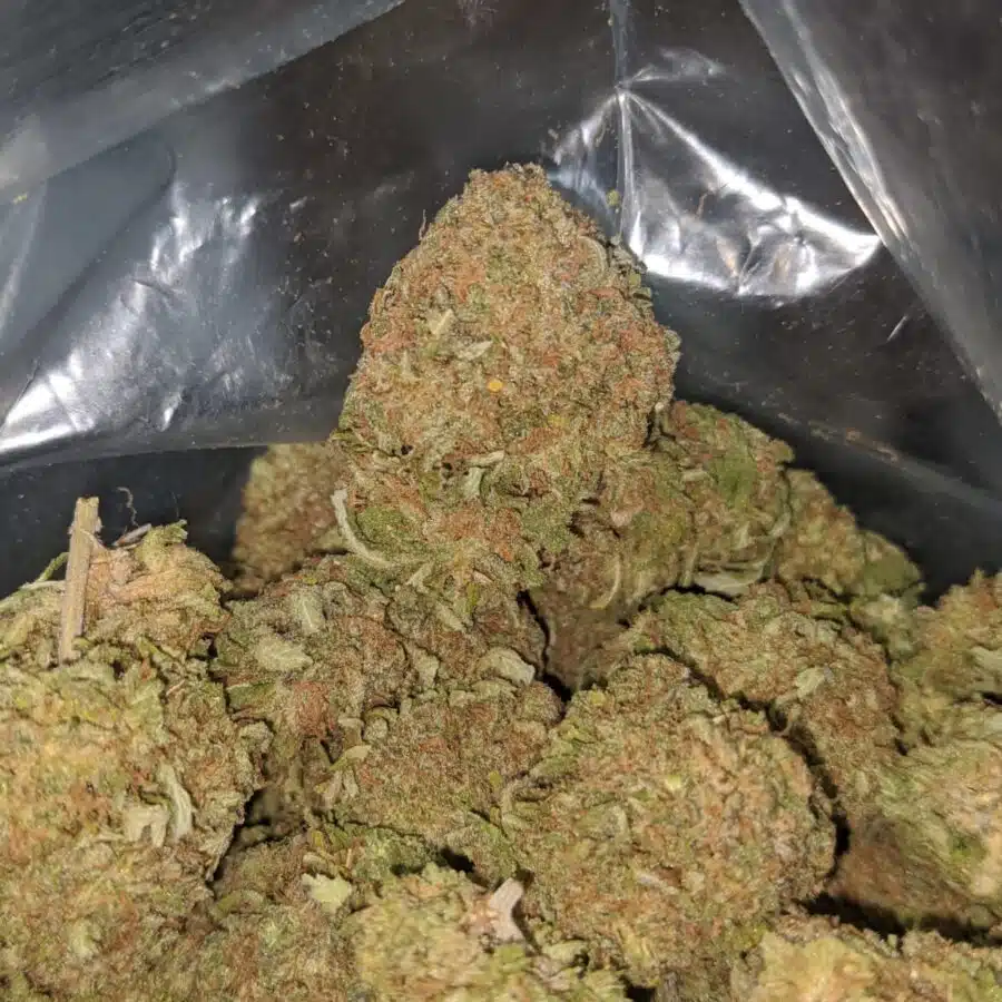duke nukem 3 I $ 55 Oz - Duke Nukem