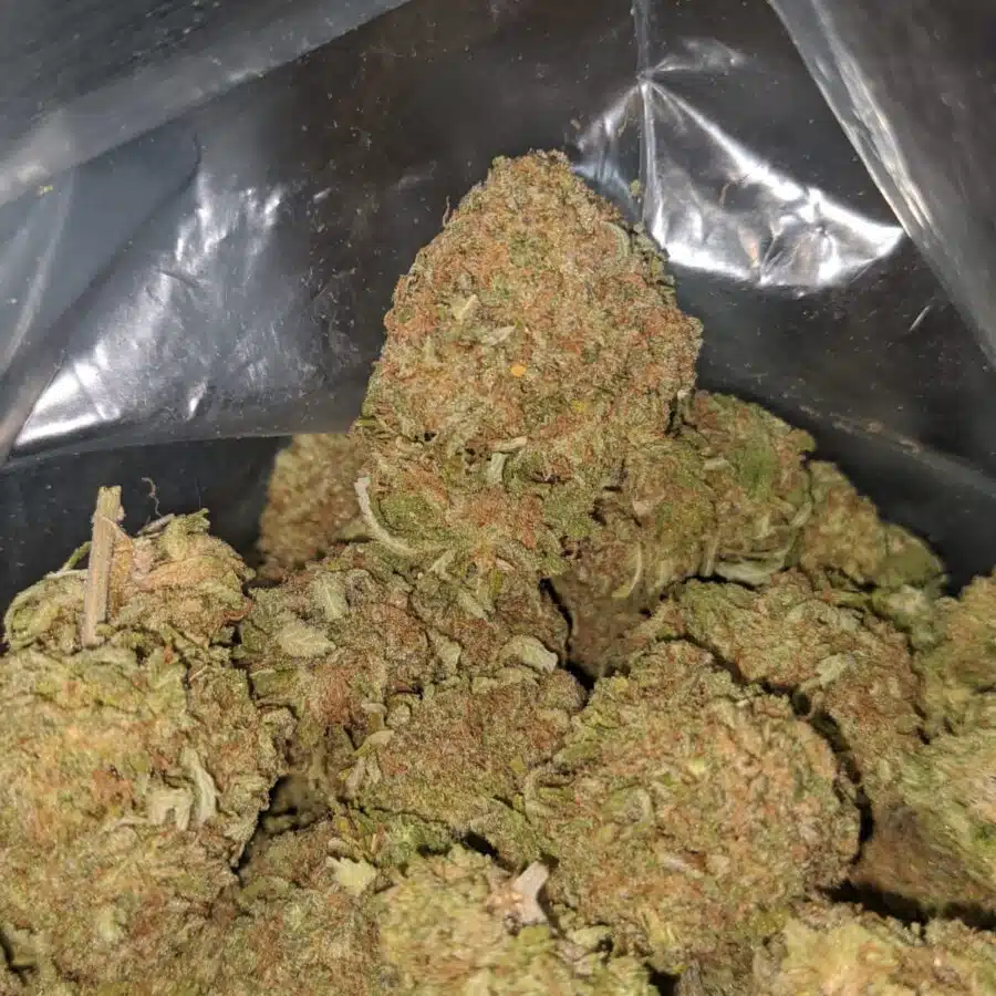 duke nukem 4 I $ 55 Oz - Duke Nukem