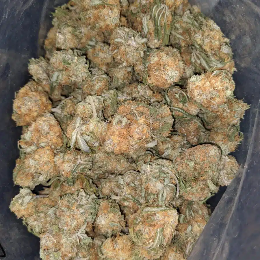 orange whiskey 1 1 I $ 50 Oz - Orange Whisky